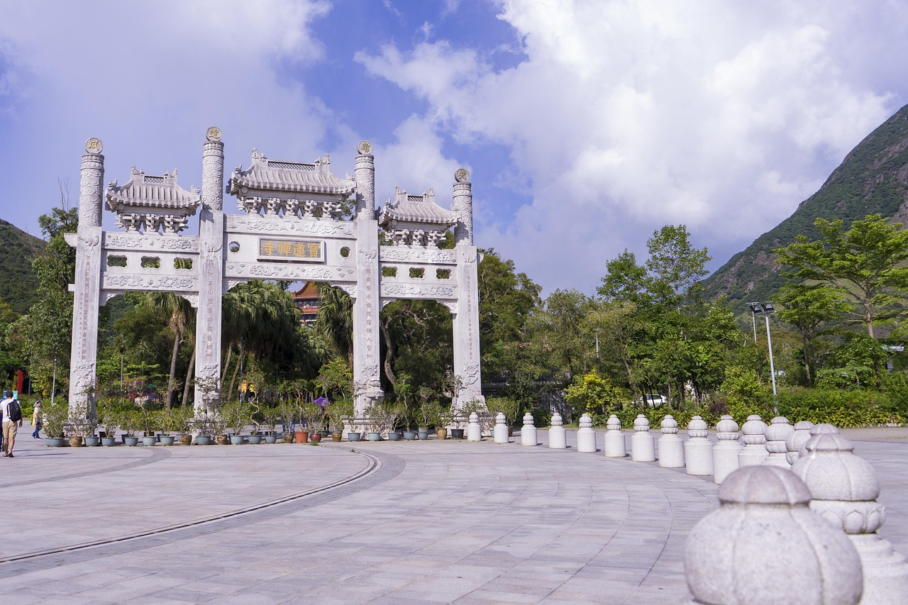 乔猛老师，南阳文化艺术学校的教育瑰宝