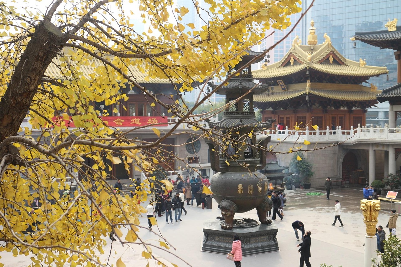 探索中国东方文化的深厚底蕴