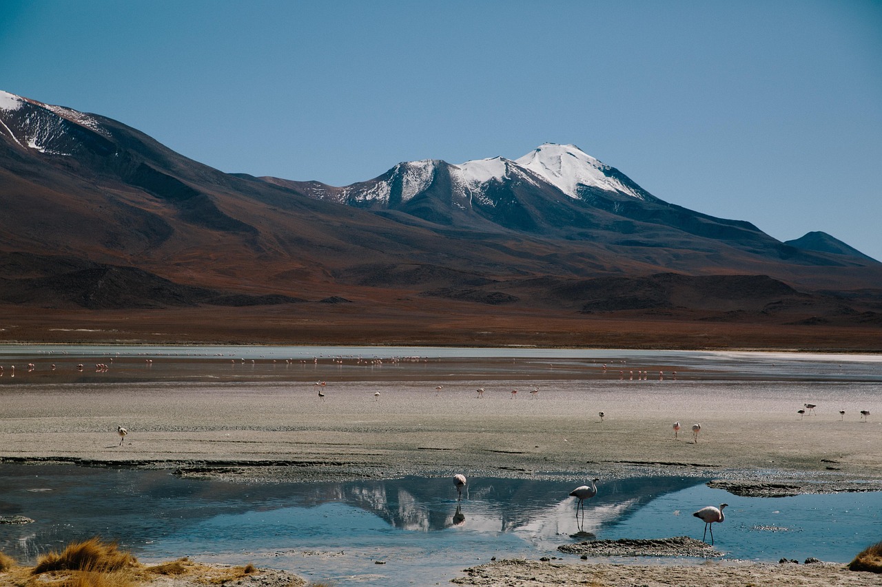 探索世界旅游文化，一场跨越时空的旅行